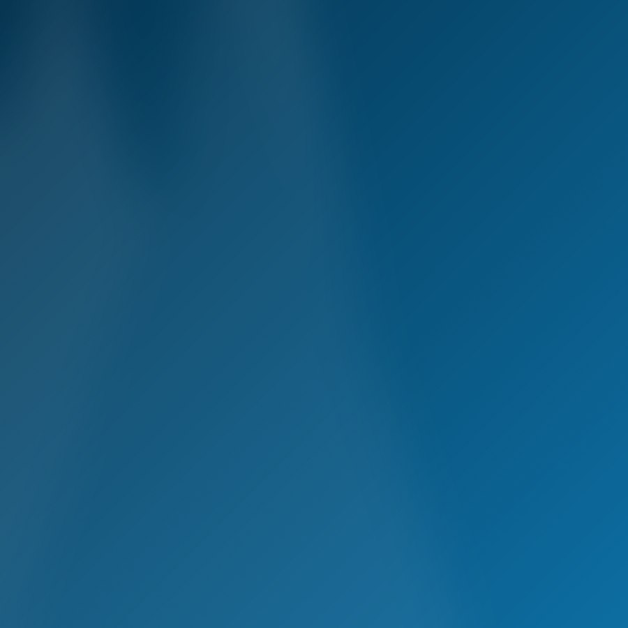 Placeholder underwater photograph 7